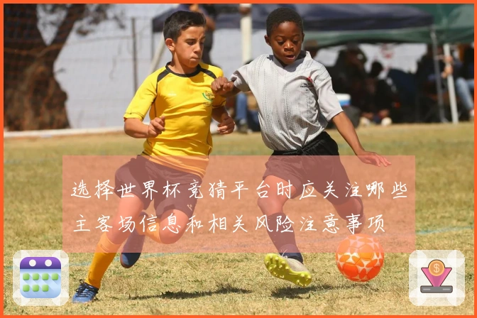 选择世界杯竞猜平台时应关注哪些主客场信息和相关风险注意事项