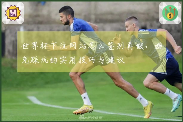 世界杯下注网站怎么鉴别真假，避免踩坑的实用技巧与建议