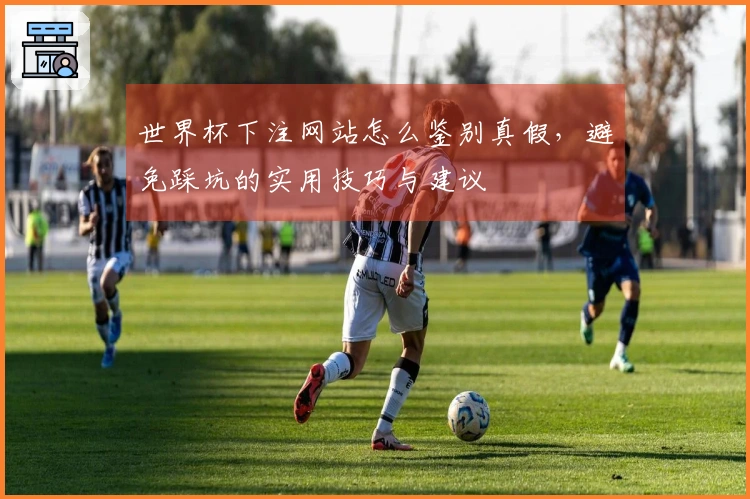 世界杯下注网站怎么鉴别真假，避免踩坑的实用技巧与建议