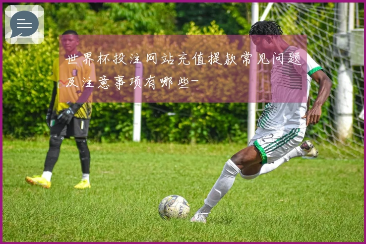 世界杯投注网站充值提款常见问题及注意事项有哪些-