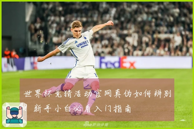 世界杯竞猜活动官网真伪如何辨别？新手小白必看入门指南
