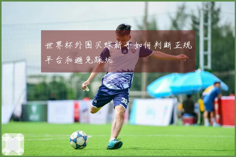 世界杯外围买球新手如何判断正规平台和避免踩坑