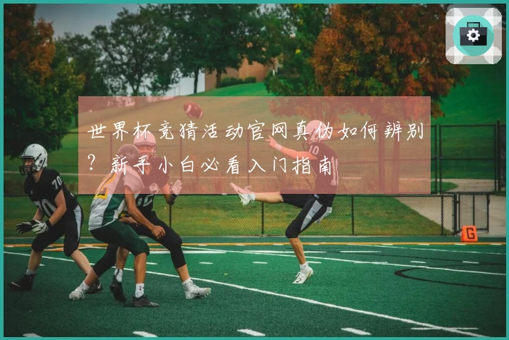 世界杯竞猜活动官网真伪如何辨别？新手小白必看入门指南